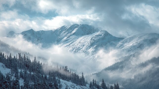 Snow covered mountain peaks shrouded in mist and clouds with pine forest foreground mountains winter