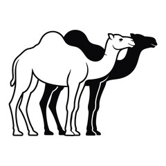 Two Camels Silhouette One White One Black dromedary