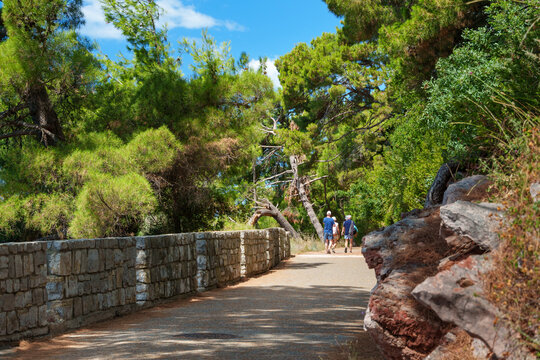 a beautiful city park with a walking path, green trees and a stone fence, a family are walking in the distance