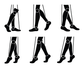 Biomechanics of human leg movement: gait cycle analysis diagram