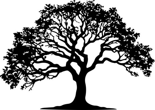 Full tree silhouette design, robust branches, intricate foliage isolated on white background, Vector