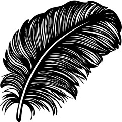 Fototapeta premium black and white feather