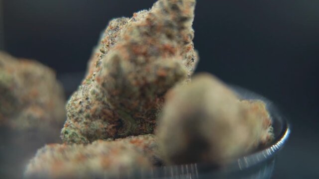 A macro close up DOP shot of a cannabis plant, marijuana flower, hybrid strains, Indica and sativa, on a 360 rotating stand in a black shiny bowl, 120 fps slow motion Full HD, pro studio lighting