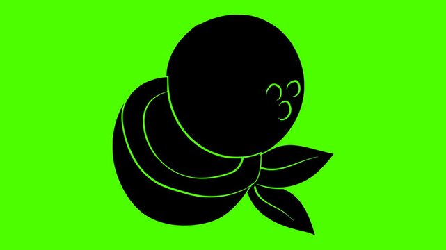 coconut illustration fruit silhouette video logo green icon screen outline tropical fresh food half natural vegetarian white coco healthy shape gourmet vector graphic background