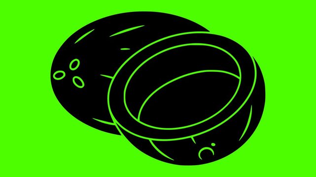 coconut illustration fruit silhouette video logo green icon screen outline tropical fresh food half natural vegetarian white coco healthy shape gourmet vector graphic background