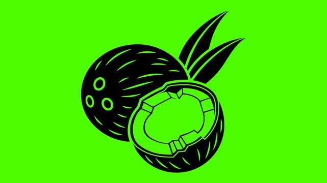 coconut illustration fruit silhouette video logo green icon screen outline tropical fresh food half natural vegetarian white coco healthy shape gourmet vector graphic background