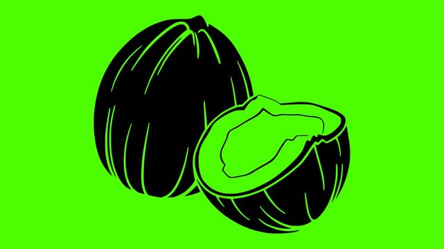 coconut illustration fruit silhouette video logo green icon screen outline tropical fresh food half natural vegetarian white coco healthy shape gourmet vector graphic background
