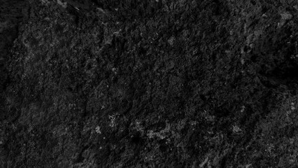Fototapeta premium A close-up of a dark, textured surface resembling volcanic rock or charred material with subtle variations in tone and depth.
