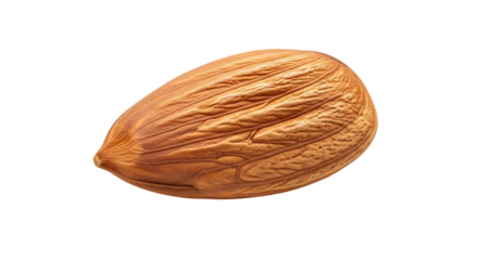 Single almond nut with detailed textured surface and pointed end, isolated on a transparent background, cutout, PNG