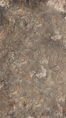 A close-up view of a weathered concrete surface with natural textures and earthy tones.