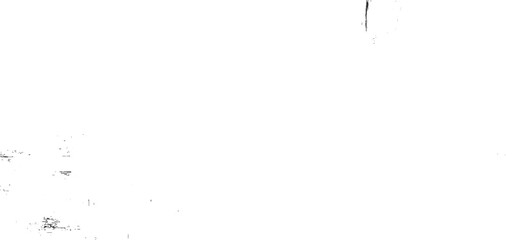 Fototapeta premium Black ink splatters and brush strokes on white background abstract blot