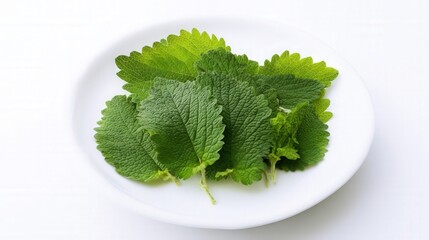 Fresh lemon balm (Melissa) leaves on a clean white plate with textured green leaf surface. Generative AI