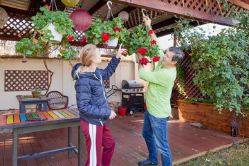 a woman and a man on the terrace at home cleaning the flowers to prepare them for the cold season