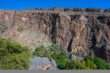 Misfat al Abriyyin Oasis, Oman.