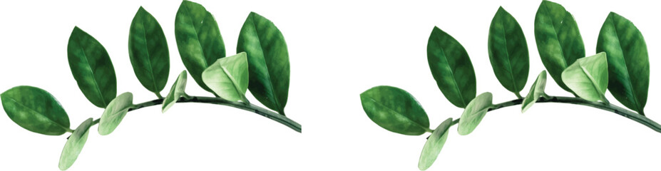 Clean and Fresh Green Leaves Giving a Natural Botanical Look