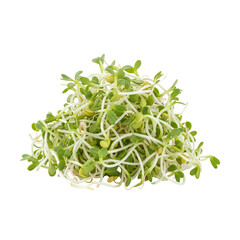 Fresh Green Sunflower Sprouts Pile Isolated On Background
