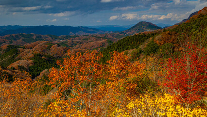 紅葉と奥久慈男体山　秋の休場展望台　茨城　常陸大宮