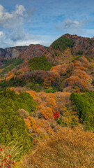 つつじヶ丘展望台から見る紅葉　茨城　大子町　絶景　縦構図
