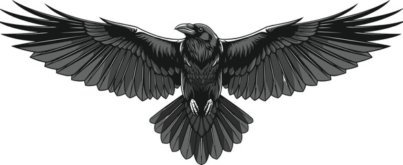 Raven wings spread silhouette, frontal bird flight sketch, feather symmetry illustration design, dark animal vector art, cad drawing flat vector illustration