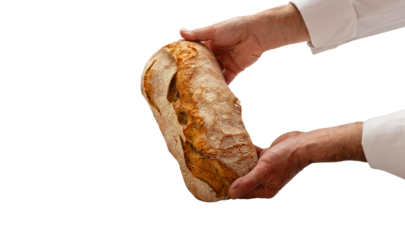 Hands of a baker in uniform showing a rustic artisanal bread loaf. Isolated image on transparent background for bakery advertising and mockups.