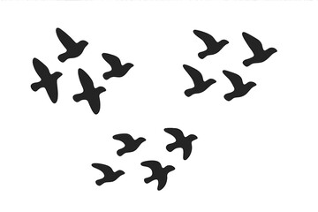 Minimalist black silhouettes of flying birds grouped in three separate flocks against a white background