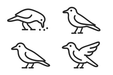 Minimalist black outline set of small wild birds standing, feeding, and flying