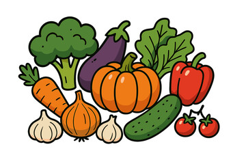 Colorful assortment of fresh organic vegetables harvested from the garden