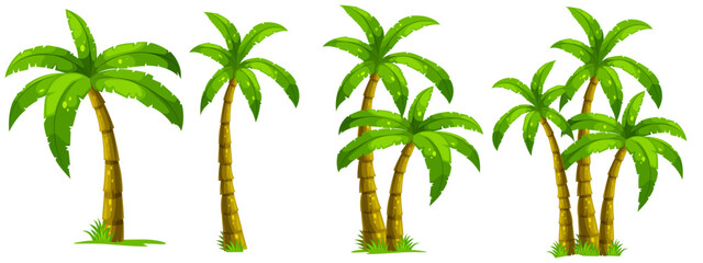 Tropical Palms: A collection of lush green coconut trees standing tall, representing the beauty and tranquility of a tropical paradise.