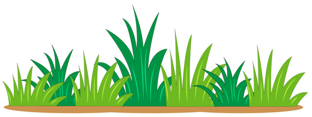 Lush Green Grass: A vibrant display of nature, capturing the essence of a flourishing lawn, perfect for bringing a touch of the outdoors into your designs.