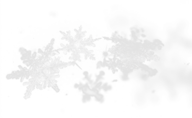 Realistic PNG falling snowflakes background on transparent

