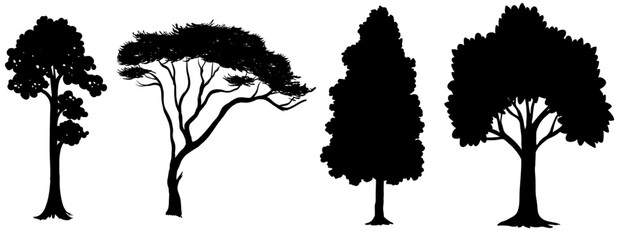 Silhouetted Canopy: An artistic ensemble of varied trees, their forms cast in stark black against the bright backdrop. Each silhouette offers a unique profile of nature's towering design.