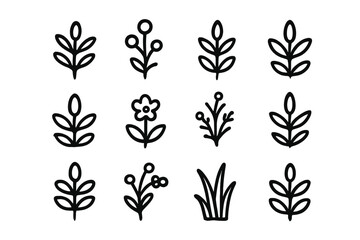 Minimalist hand drawn botanical collection of leaves, flowers, and berries