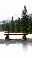 Obraz premium Sitzbank im Wald