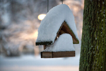 Snowy Birdhouse Hanging From Tree in Winter Garden Quiet Scene With Snow