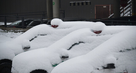 Police cars covered in snow during a winter storm
