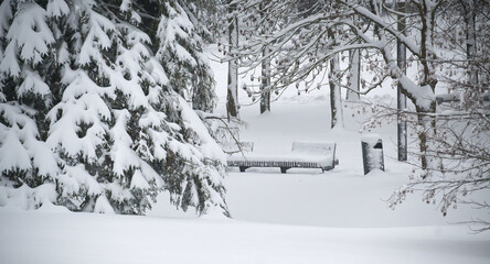 Snowy Park Bench in Winter Forest Scene with Snow-Covered Trees and Quiet Snowfall