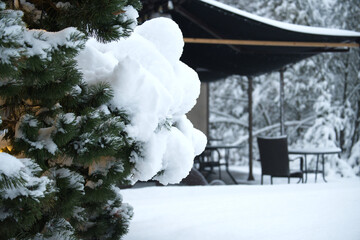 Snow-Covered Pine Tree By Winter Patio With Snowy Furniture And Cozy Outdoor Scene