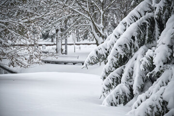 Snow-covered park scene with benches and trees in a winter wonderland
