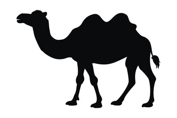 Camel vector silhouette, Desert camel black silhouette