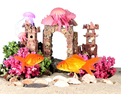 Firefly_Trio of Elegant Lotus Flowers in Various Stages of Bloom - Firefly_Vibrant goldfish swimming in a whimsical underwater castle scene  (2)