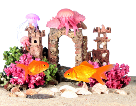 Firefly_Trio of Elegant Lotus Flowers in Various Stages of Bloom - Firefly_Vibrant goldfish swimming in a whimsical underwater castle scene  (2)