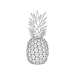 Illustration of pineapple illustration in black and white style