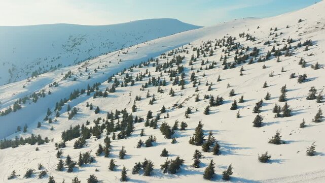 Aerial shot of winter wilderness featuring snow and forested ridges, Drone footage capturing serene alpine winter landscape with snowcovered slopes and tall pines
