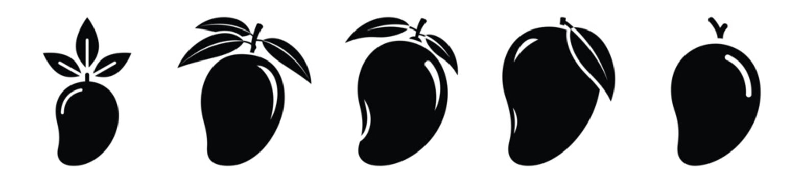 set of  mango tropic icon vector illustration isolated on white background