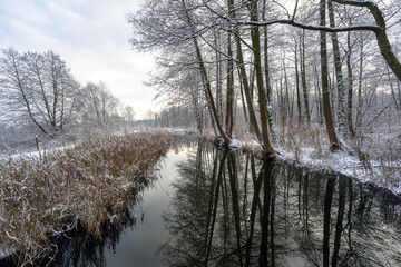 Zima nad rzeką Supraśl, Puszcza Knyszyńska, Podlasie