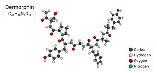 Dermorphin molecule. Natural opioid neuropeptide with strong analgesic activity.  Molecular model. 3D rendering. Illustration
