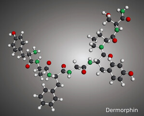 Dermorphin molecule. Natural opioid neuropeptide with strong analgesic activity.  Molecular model. 3D rendering. Illustration