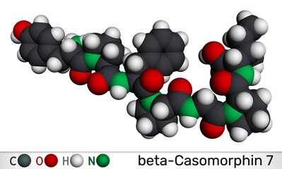 Beta-casomorphin-7, BCM7 opioid peptide molecule. Milk-derived casein peptide with potential physiological effects. Molecular model. 3D rendering. Illustration