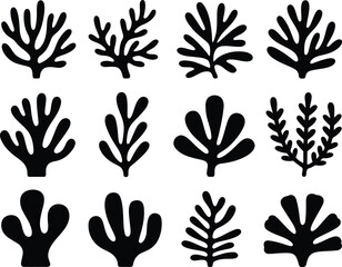 Hand-drawn Coral silhouette illustration white background