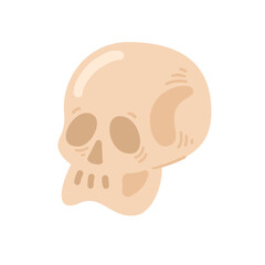Cute skull vector illustration